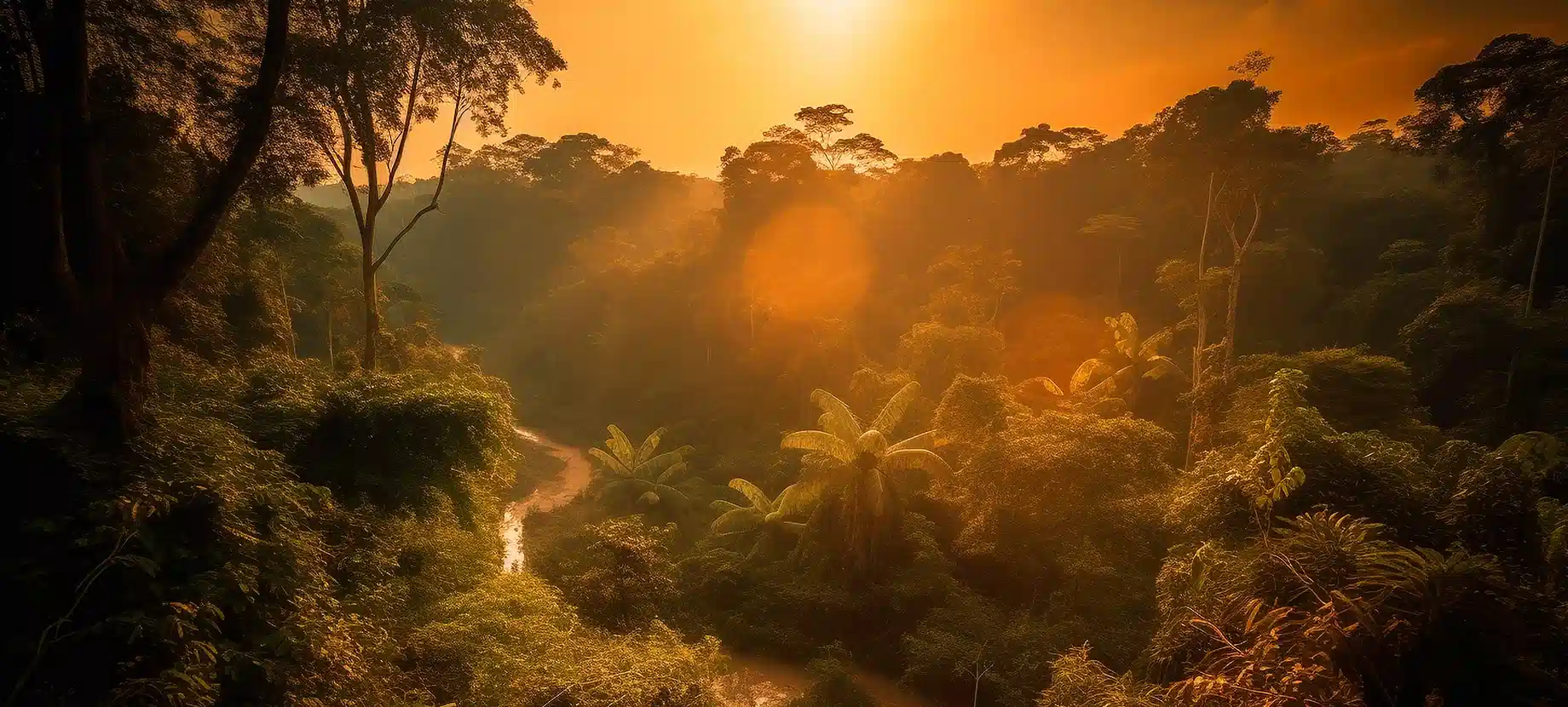 fondo estatico de la amazonia peruana